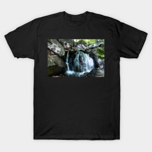 Trout Brook Falls T-Shirt